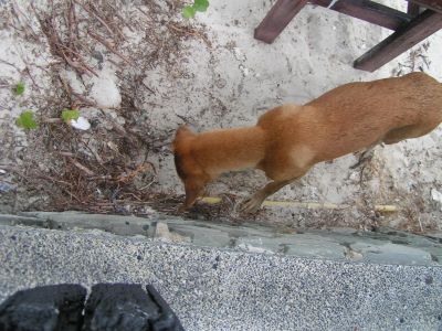 PICT1215.JPG