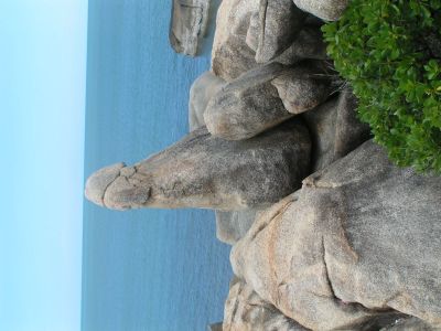 PICT1244.JPG