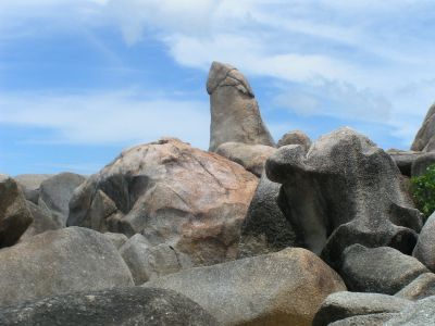 PICT1248.JPG