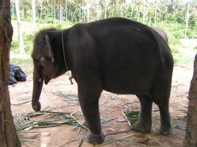 PICT1308.JPG