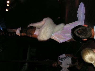 PICT1455.JPG