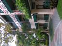PICT0105_001.JPG