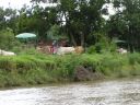 PICT0147.JPG
