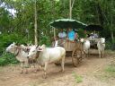 PICT0175.JPG