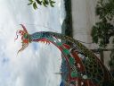PICT0293.JPG