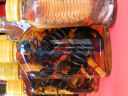 PICT0374.JPG