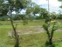 PICT0471.JPG