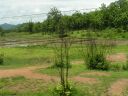 PICT0474.JPG