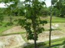 PICT0475.JPG