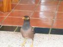 PICT0952.JPG
