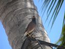 Dateiname=PICT0982.JPG
Dateigröße=341KB
Abmessungen: 1600x1200
hinzugefügt am: 02. Dezember 2015 PICT0982.JPG