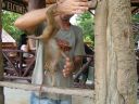 PICT1372.JPG